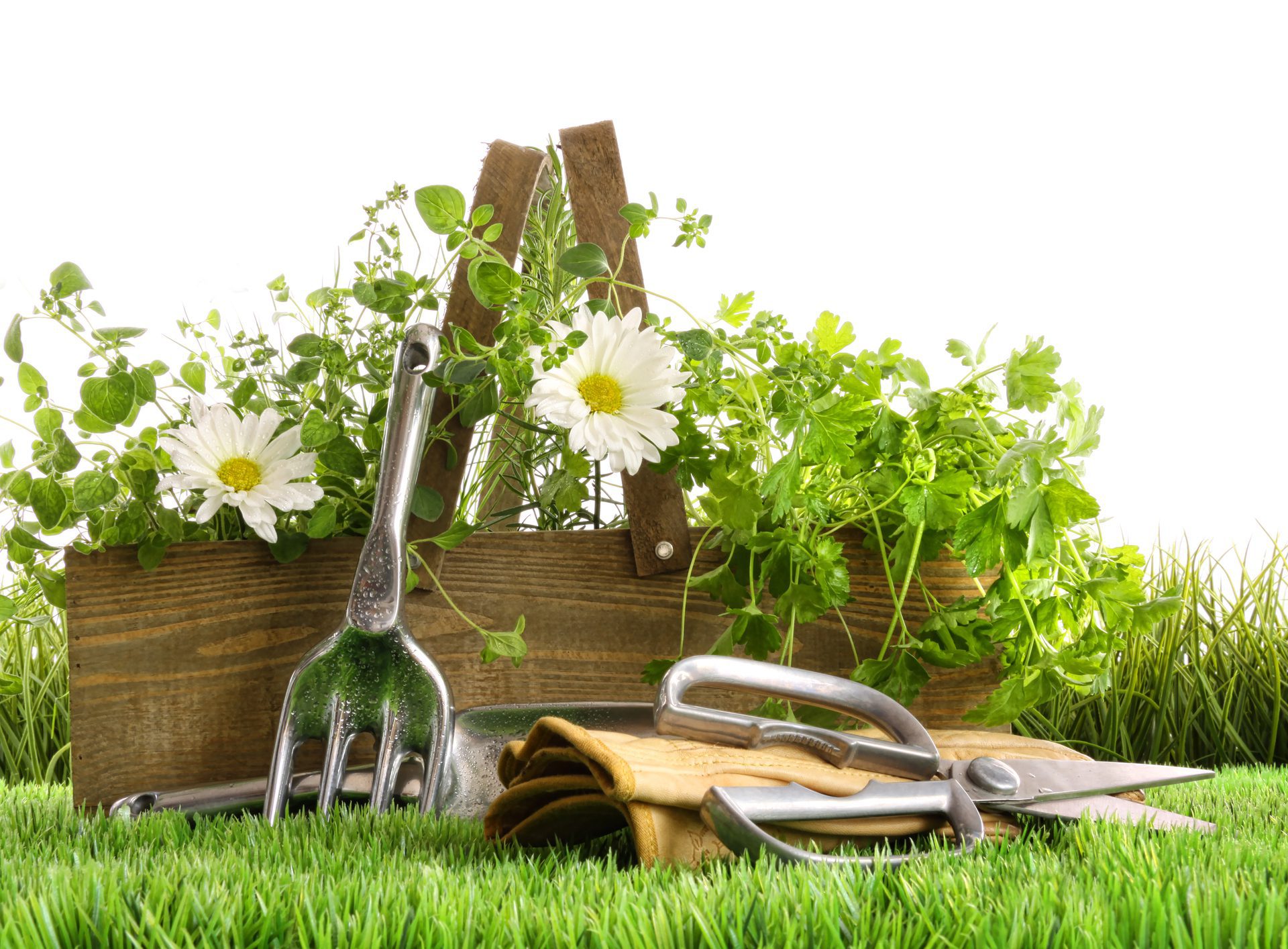 Fresh Herbs And Gardening Tools